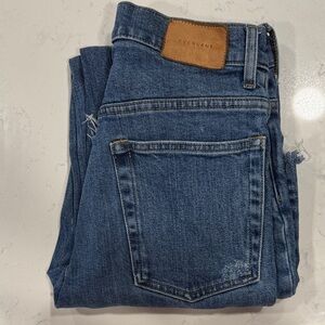 Everlane Wide Leg Jeans in Classic Blue